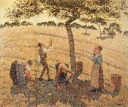 Camille Pissarro Pick Apple France oil painting artist